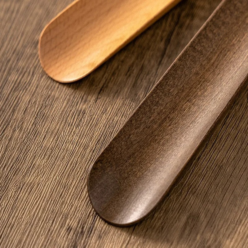 MagnoStep | Magnetic Shoehorn